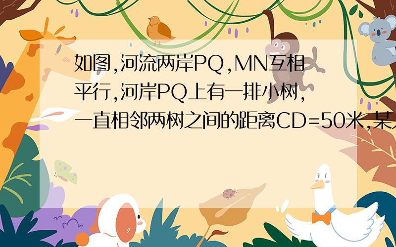 如图,河流两岸PQ,MN互相平行,河岸PQ上有一排小树,一直相邻两树之间的距离CD=50米,某人在河岸MN的A处测得∠D