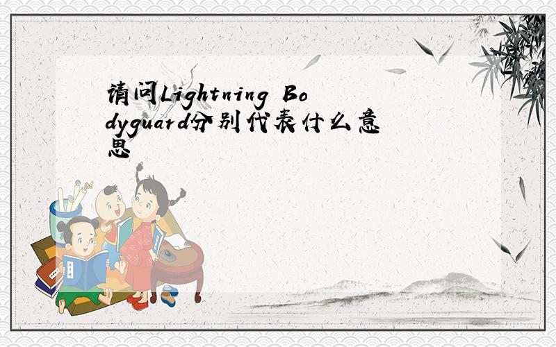 请问Lightning Bodyguard分别代表什么意思