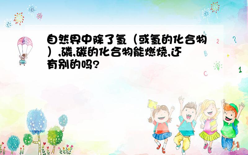 自然界中除了氢（或氢的化合物）,磷,碳的化合物能燃烧,还有别的吗?