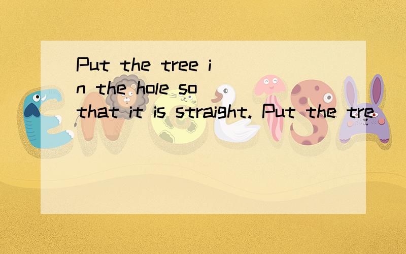 Put the tree in the hole so that it is straight. Put the tre