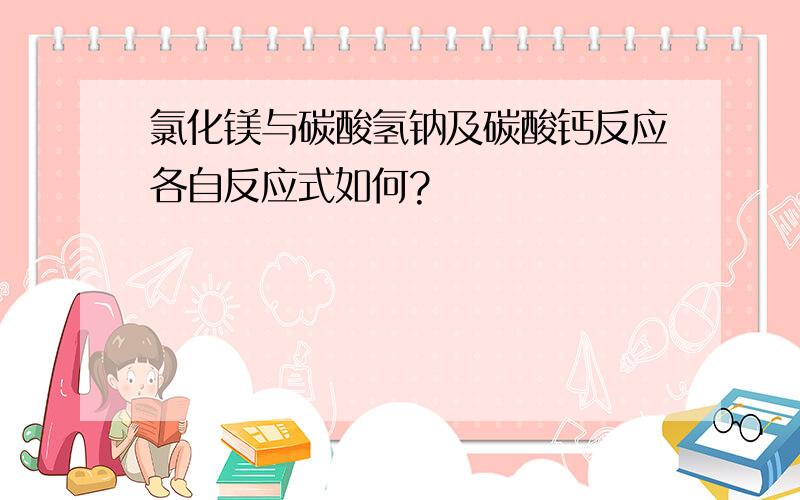 氯化镁与碳酸氢钠及碳酸钙反应各自反应式如何?