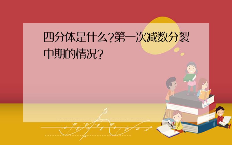 四分体是什么?第一次减数分裂中期的情况?