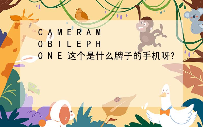 C A M E R A M O B I L E P H O N E 这个是什么牌子的手机呀?