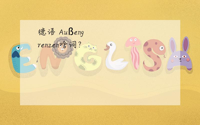 德语 Außengrenzen啥词?