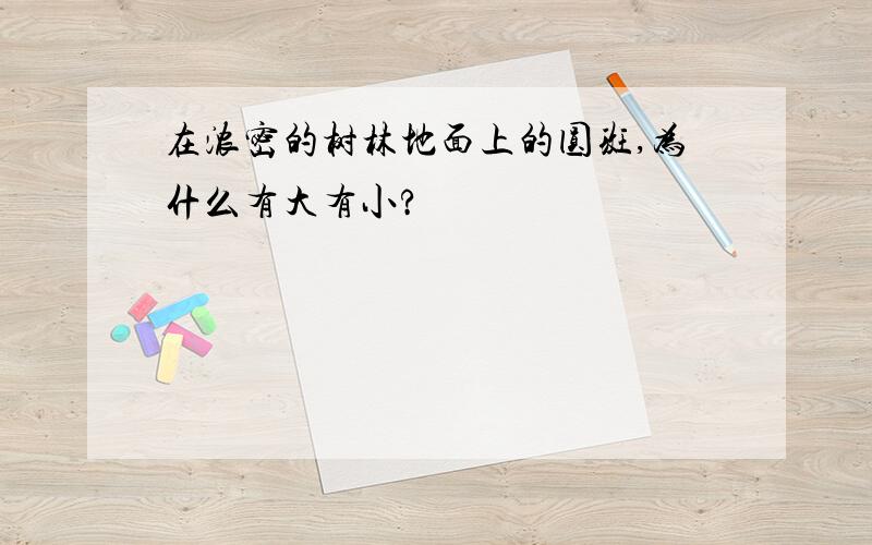 在浓密的树林地面上的圆斑,为什么有大有小?