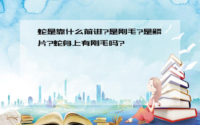 蛇是靠什么前进?是刚毛?是鳞片?蛇身上有刚毛吗?