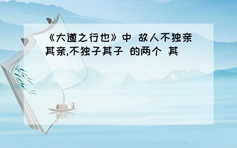 《大道之行也》中 故人不独亲其亲,不独子其子 的两个 其