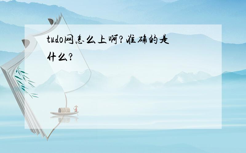 tudo网怎么上啊?准确的是什么?