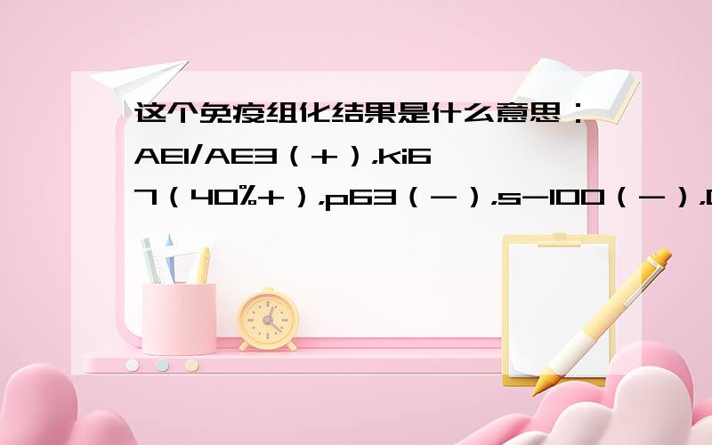 这个免疫组化结果是什么意思：AE1/AE3（+），ki67（40%+），p63（-），s-100（-），CK5/6（-）