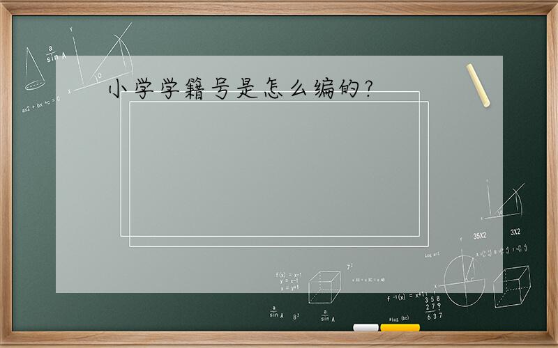 小学学籍号是怎么编的?