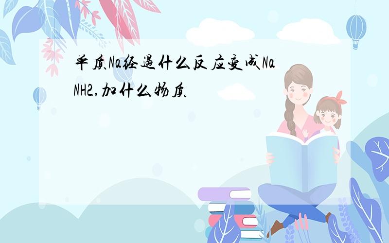 单质Na经过什么反应变成NaNH2,加什么物质