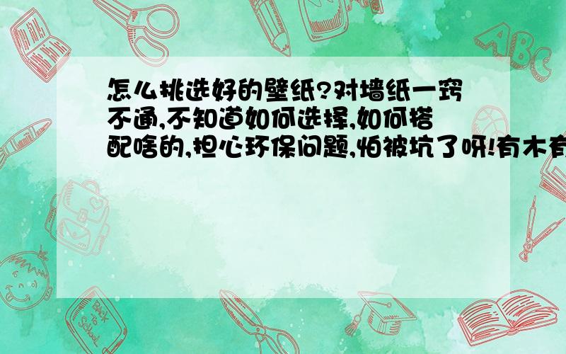 怎么挑选好的壁纸?对墙纸一窍不通,不知道如何选择,如何搭配啥的,担心环保问题,怕被坑了呀!有木有精通的人给介绍介绍,