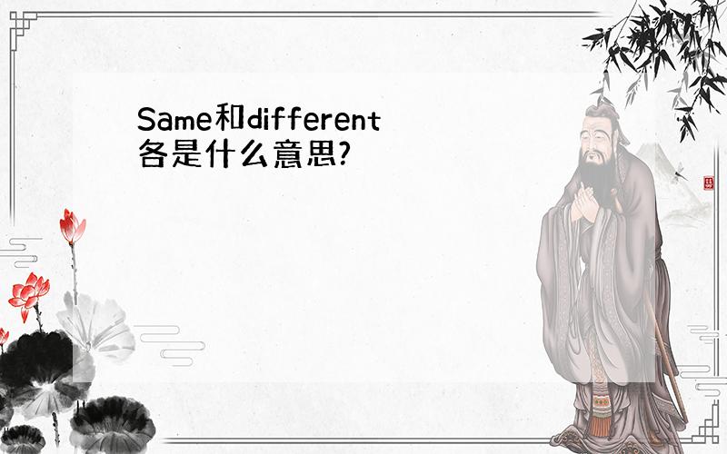 Same和different各是什么意思?