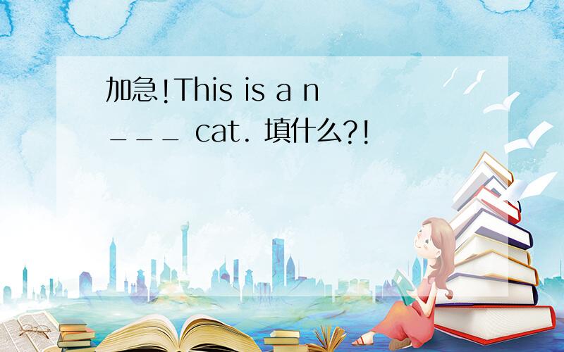 加急!This is a n___ cat. 填什么?!