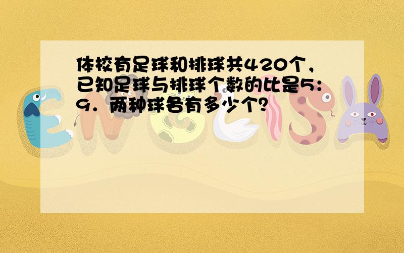 体校有足球和排球共420个，已知足球与排球个数的比是5：9．两种球各有多少个？