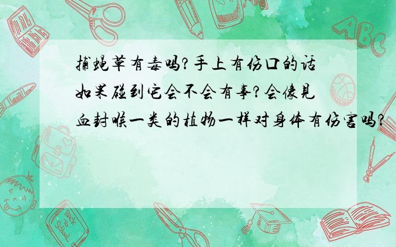 捕蝇草有毒吗?手上有伤口的话如果碰到它会不会有事?会像见血封喉一类的植物一样对身体有伤害吗?