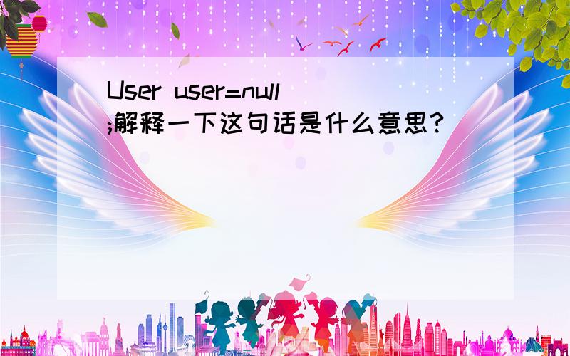 User user=null;解释一下这句话是什么意思?