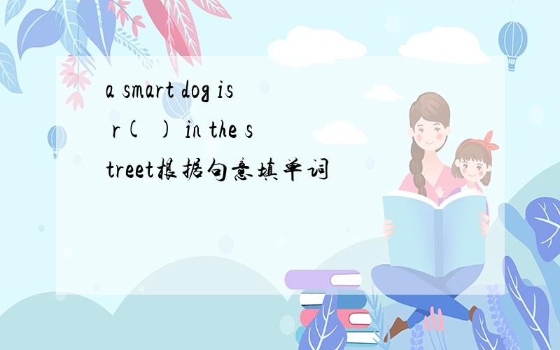 a smart dog is r( ) in the street根据句意填单词