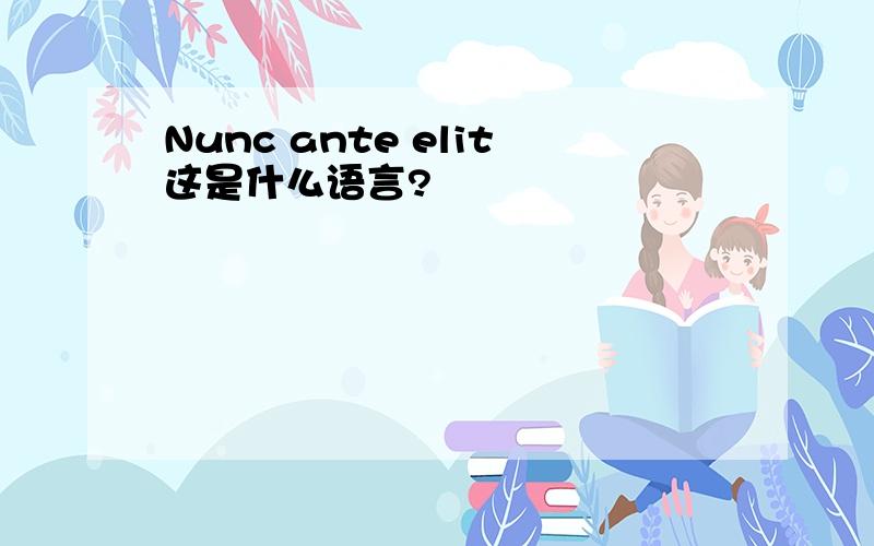 Nunc ante elit这是什么语言?