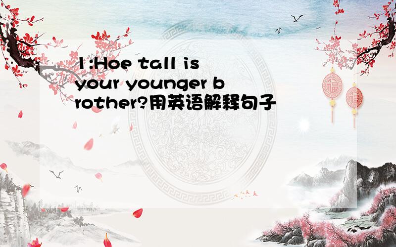 1:Hoe tall is your younger brother?用英语解释句子