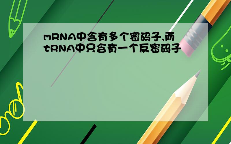 mRNA中含有多个密码子,而tRNA中只含有一个反密码子