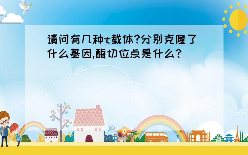 请问有几种t载体?分别克隆了什么基因,酶切位点是什么?