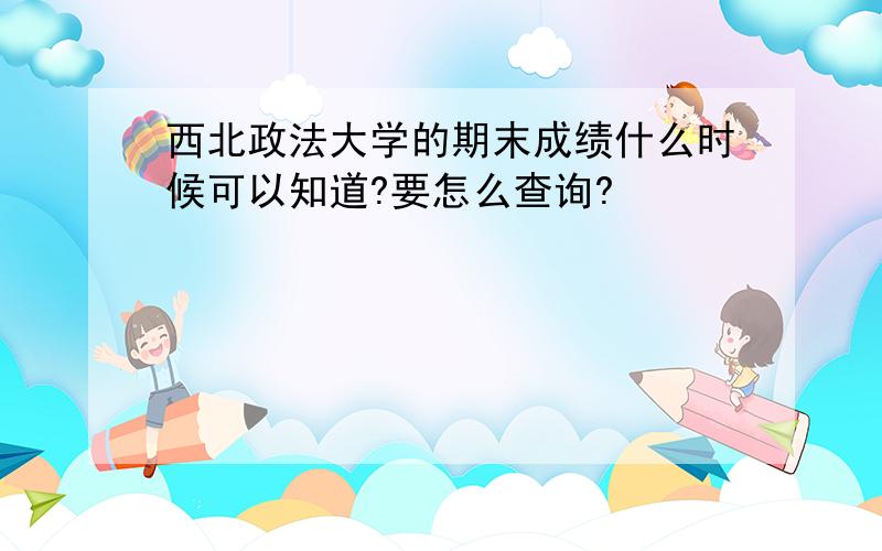 西北政法大学的期末成绩什么时候可以知道?要怎么查询?