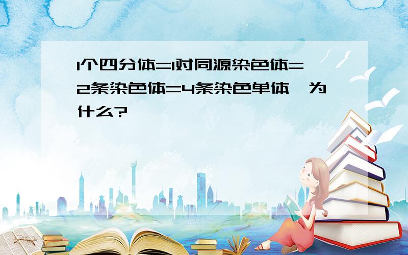 1个四分体=1对同源染色体=2条染色体=4条染色单体,为什么?