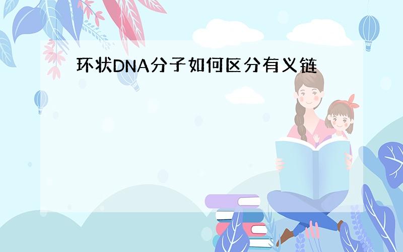 环状DNA分子如何区分有义链