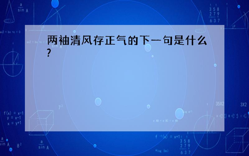 两袖清风存正气的下一句是什么?