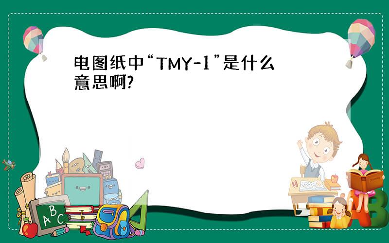 电图纸中“TMY-1”是什么意思啊?