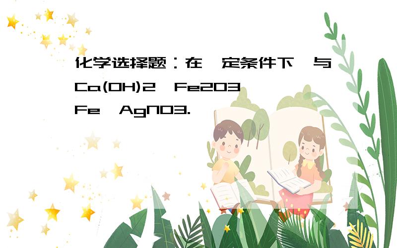 化学选择题：在一定条件下,与Ca(OH)2、Fe2O3、Fe、AgNO3.