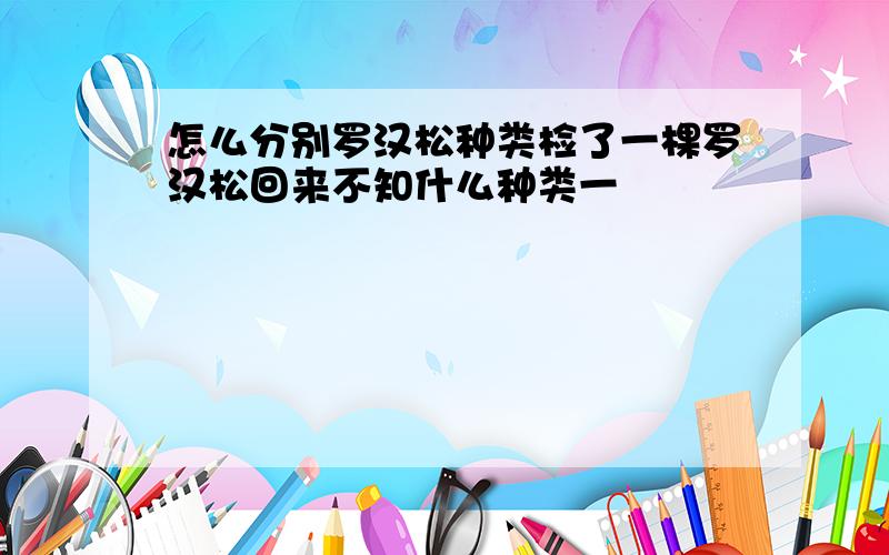 怎么分别罗汉松种类检了一棵罗汉松回来不知什么种类一