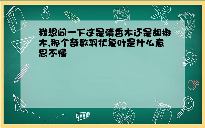 我想问一下这是清香木还是胡椒木,那个奇数羽状复叶是什么意思不懂