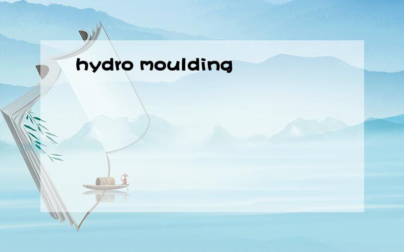 hydro moulding