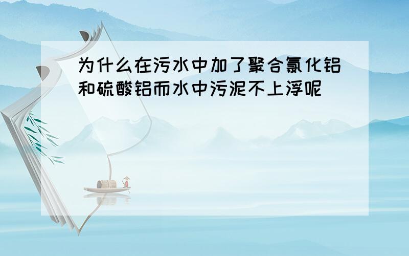 为什么在污水中加了聚合氯化铝和硫酸铝而水中污泥不上浮呢