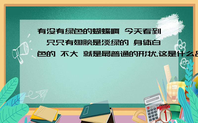 有没有绿色的蝴蝶啊 今天看到一只只有翅膀是淡绿的 身体白色的 不大 就是最普通的形状.这是什么品种?