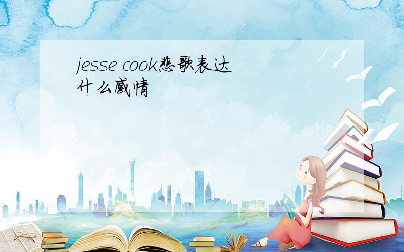 jesse cook悲歌表达什么感情