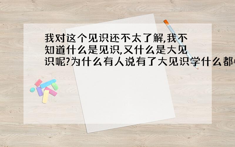 我对这个见识还不太了解,我不知道什么是见识,又什么是大见识呢?为什么有人说有了大见识学什么都快呢?