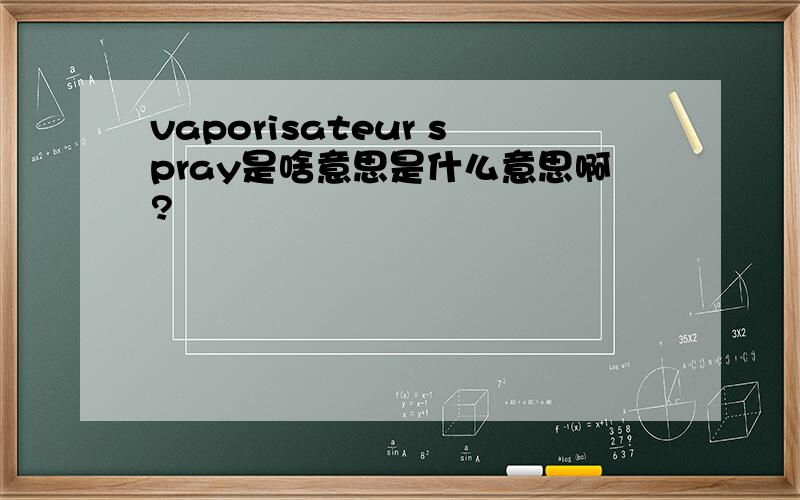 vaporisateur spray是啥意思是什么意思啊?