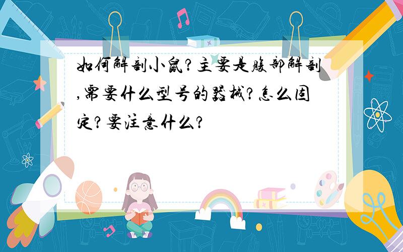 如何解剖小鼠?主要是腹部解剖,需要什么型号的器械?怎么固定?要注意什么?