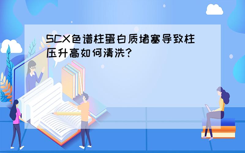 SCX色谱柱蛋白质堵塞导致柱压升高如何清洗?