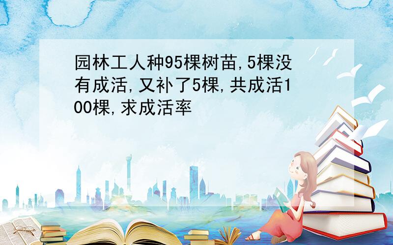 园林工人种95棵树苗,5棵没有成活,又补了5棵,共成活100棵,求成活率