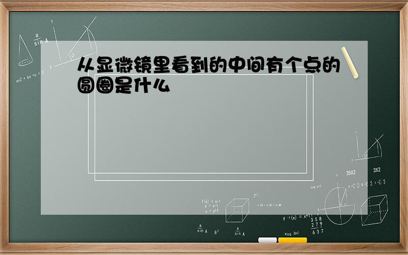 从显微镜里看到的中间有个点的圆圈是什么