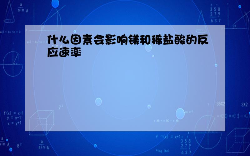 什么因素会影响镁和稀盐酸的反应速率