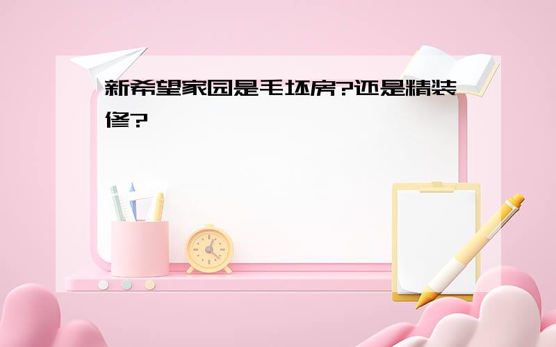 新希望家园是毛坯房?还是精装修?