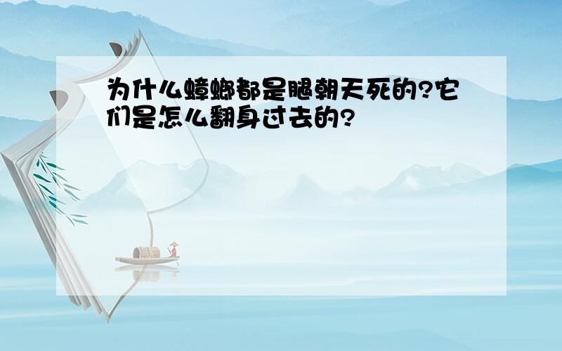 为什么蟑螂都是腿朝天死的?它们是怎么翻身过去的?