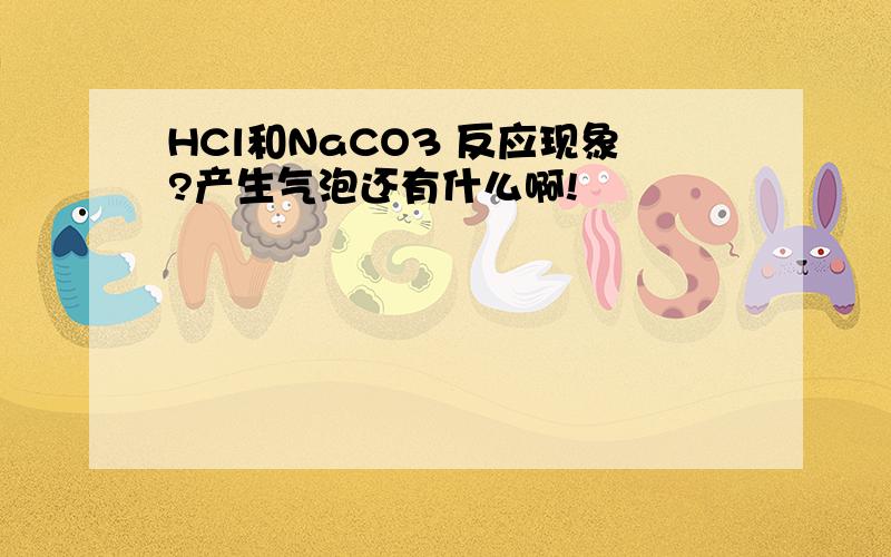 HCl和NaCO3 反应现象?产生气泡还有什么啊!