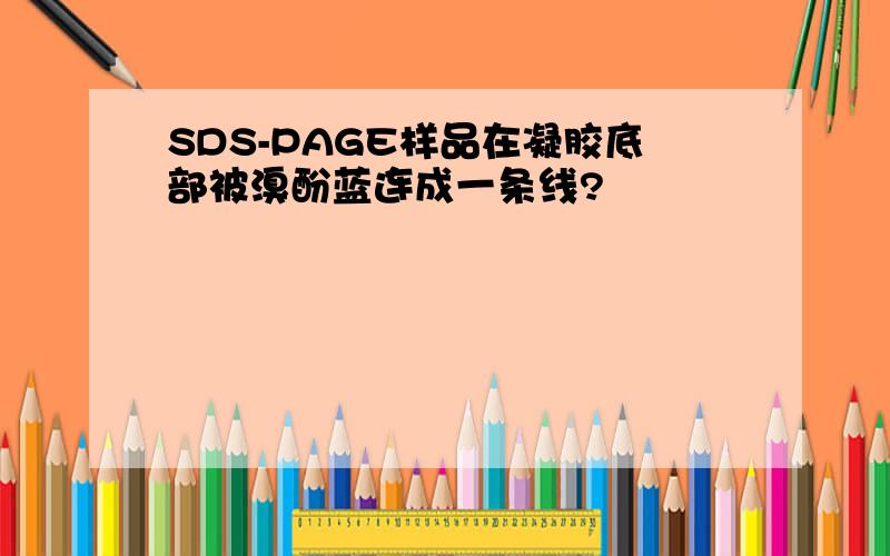 SDS-PAGE样品在凝胶底部被溴酚蓝连成一条线?