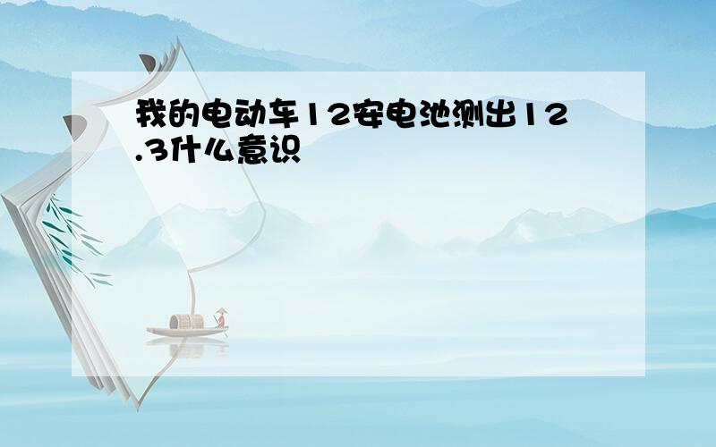 我的电动车12安电池测出12.3什么意识